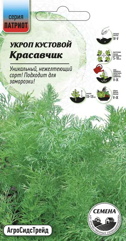 

укроп кустовой красавчик семена, укроп кустовой красавчик семена купить