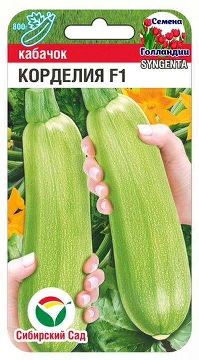 

кабачок корделия семена, кабачок корделия семена купить