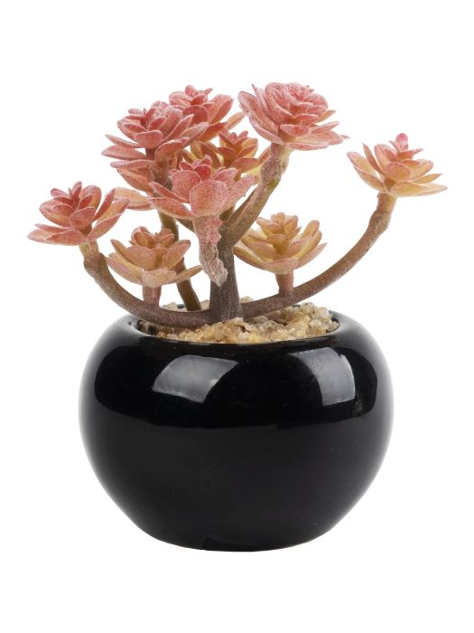 Декоративное растение Розовые Цветочки в кашпо из керамики - купить с доставкой
