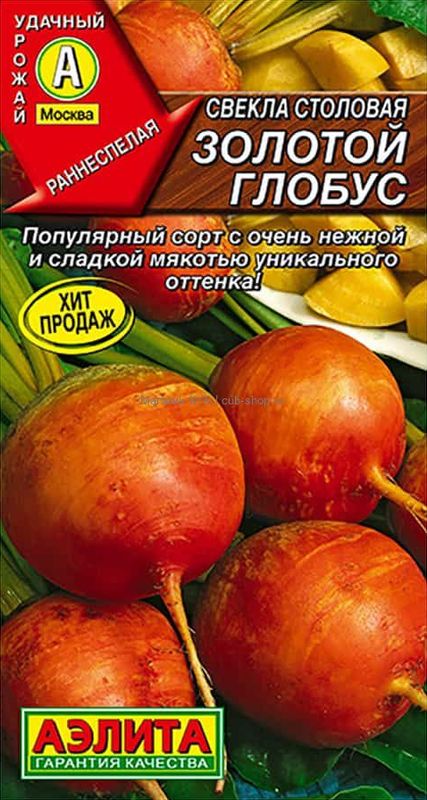 

свекла столовая золотой глобус семена, свекла столовая золотой глобус семена купить
