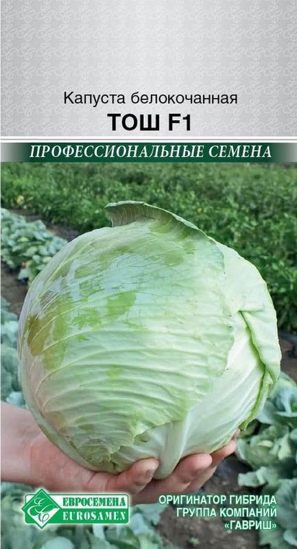 

капуста б/к тош f1 семена, капуста б/к тош f1 семена купить