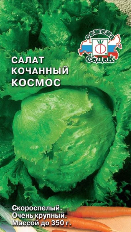 

салат кочанный космос семена, салат кочанный космос семена купить