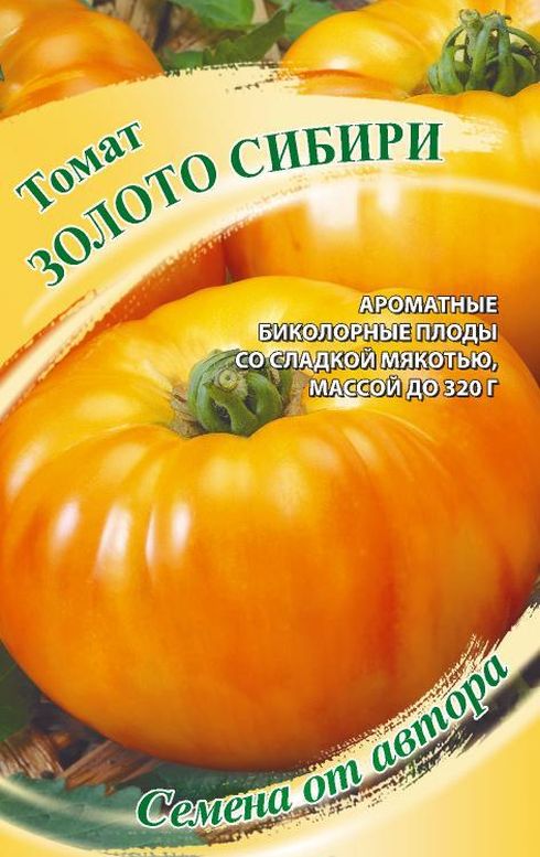 

томат золото сибири семена, томат золото сибири семена купить