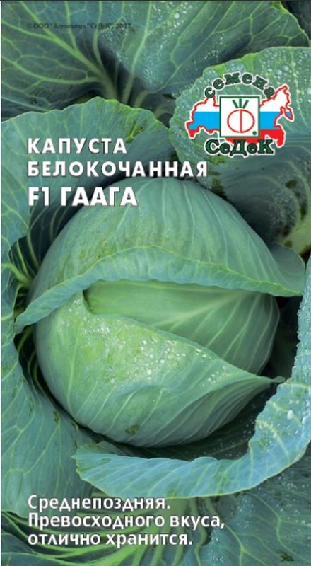

капуста б/к f1 гаага семена, капуста б/к f1 гаага семена купить