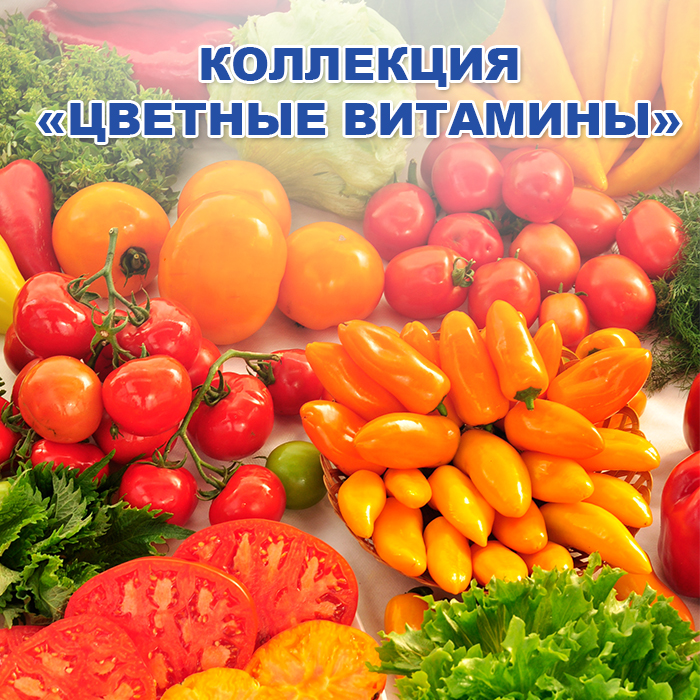 Коллекция Цветные витамины - купить с доставкой