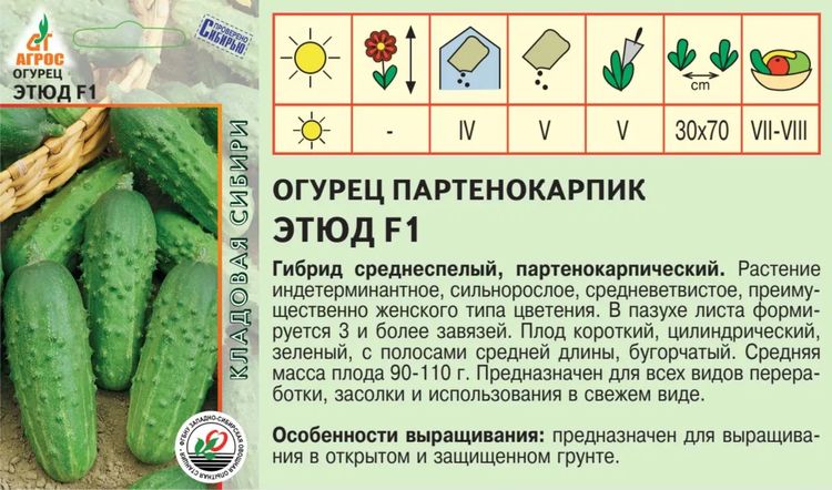 Огурцы ира f1 отзывы фото и описание
