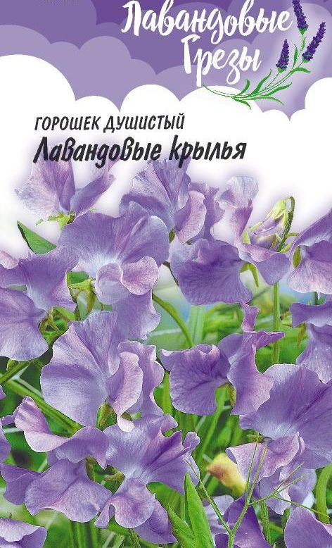 Душистый горошек Птичка певчая серия Лавандовые грезы