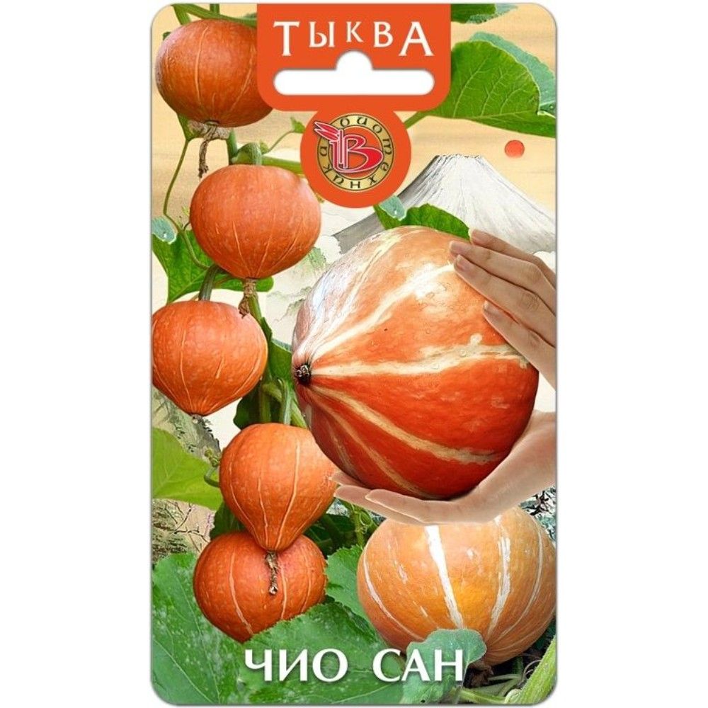 

тыква чио сан семена, тыква чио сан семена купить