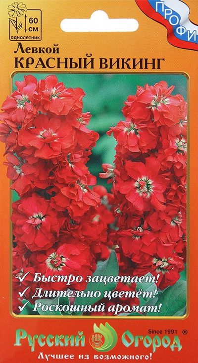 Левкой Красный Викинг