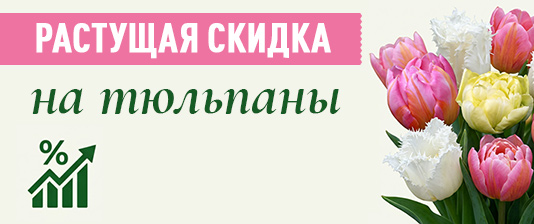 Скидка растёт вместе с заказом!