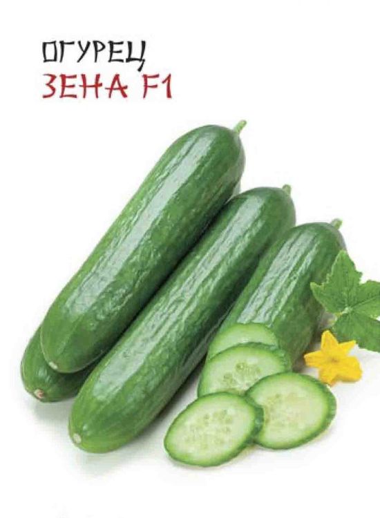 Огурец Зена F1