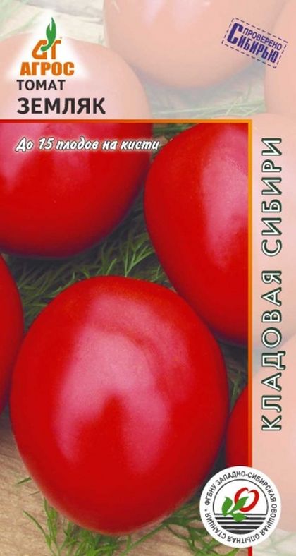 

томат земляк семена, томат земляк семена купить