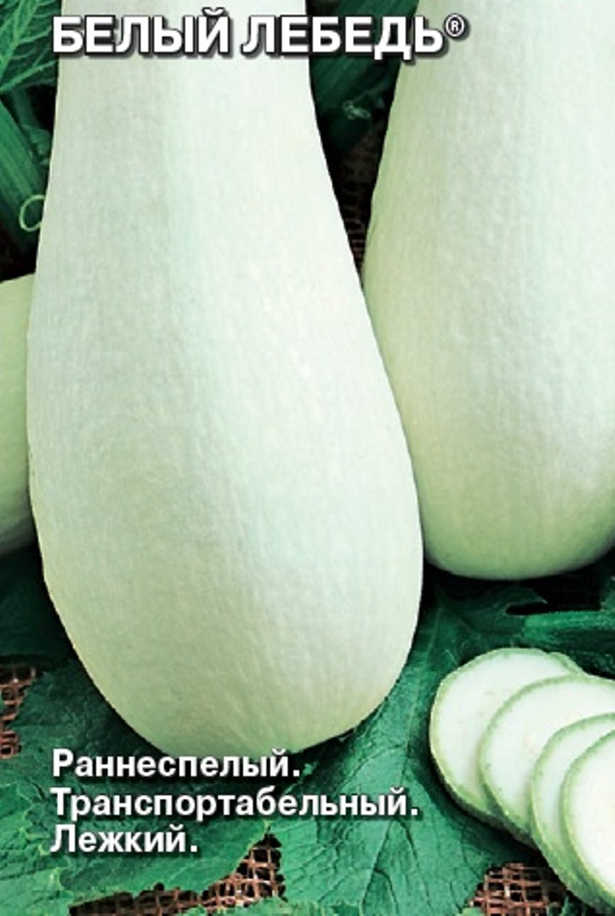 Семена Кабачок Белый лебедь®: описание сорта, фото - купить с доставкой илипочтой России