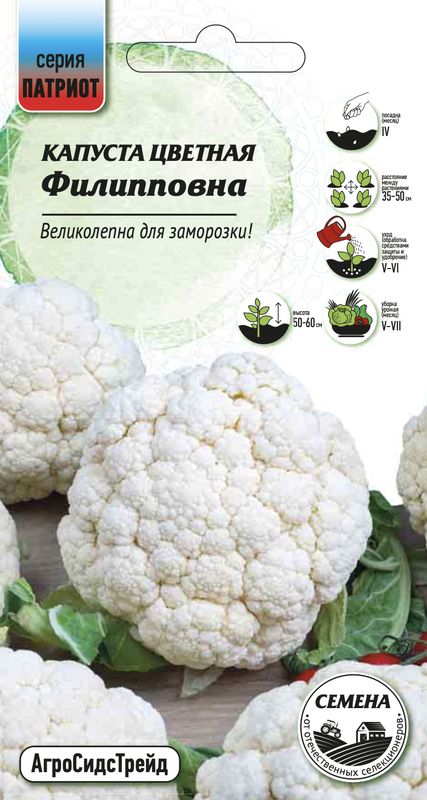 

капуста цветная филипповна семена, капуста цветная филипповна семена купить
