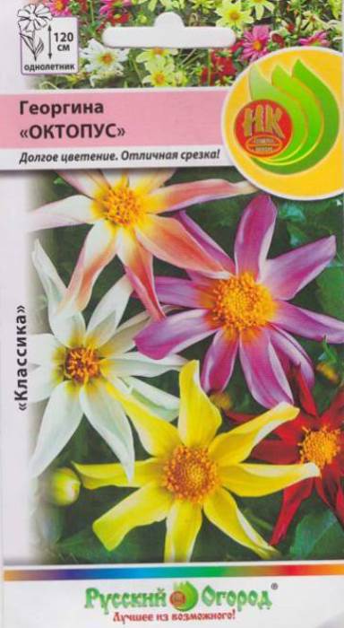 Георгина Октопус, смесь