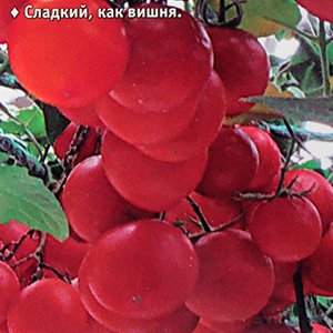 

томат сладкий поцелуй семена, томат сладкий поцелуй семена купить