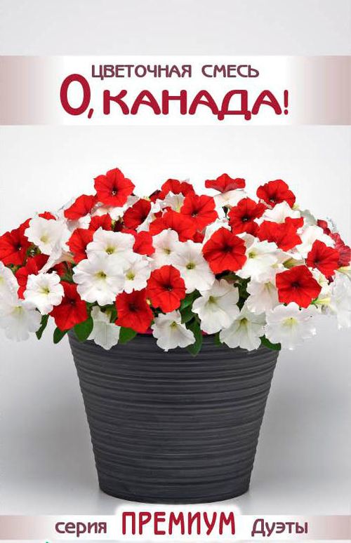 Цветочная смесь О, Канада