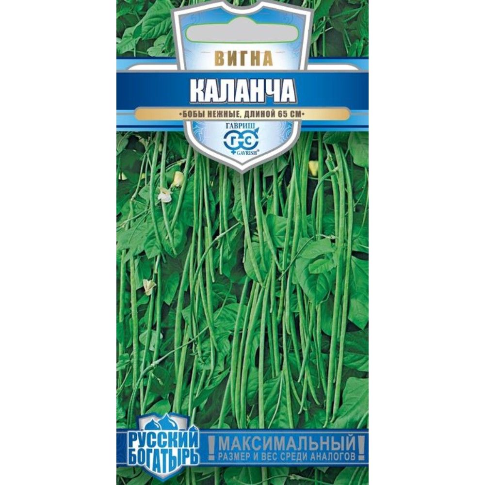 

вигна каланча семена, вигна каланча семена купить