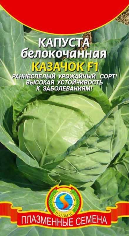 

капуста б/к f1 казачок семена, капуста б/к f1 казачок семена купить