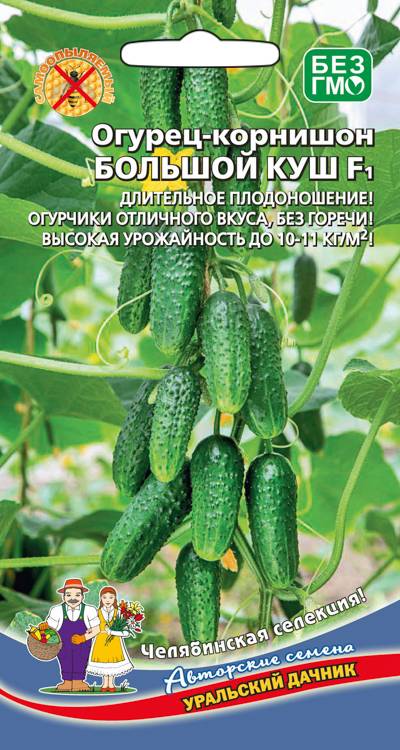 Огурец Большой куш F1