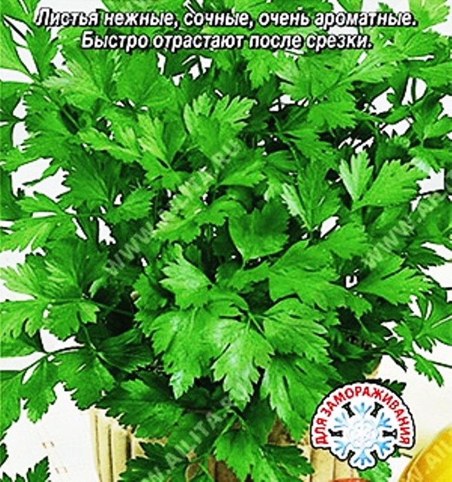 Петрушка листовая Утренняя свежесть ®