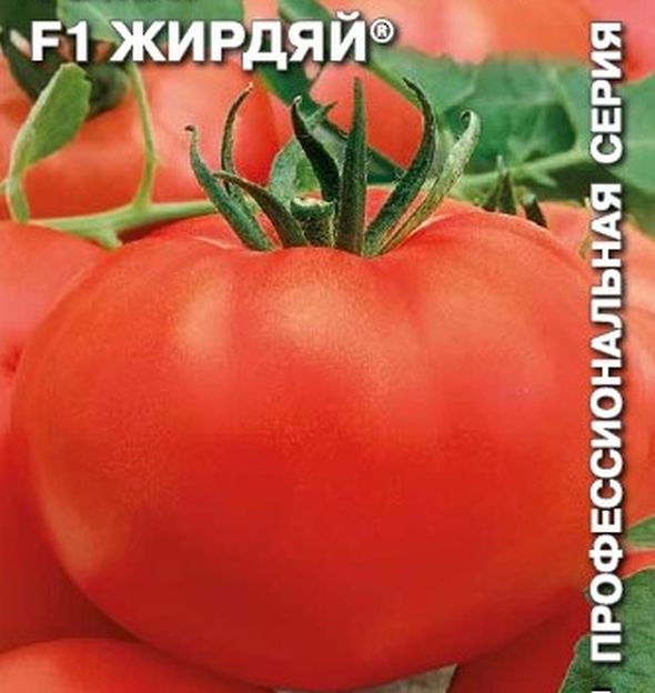 

томат жирдяй f1 семена, томат жирдяй f1 семена купить