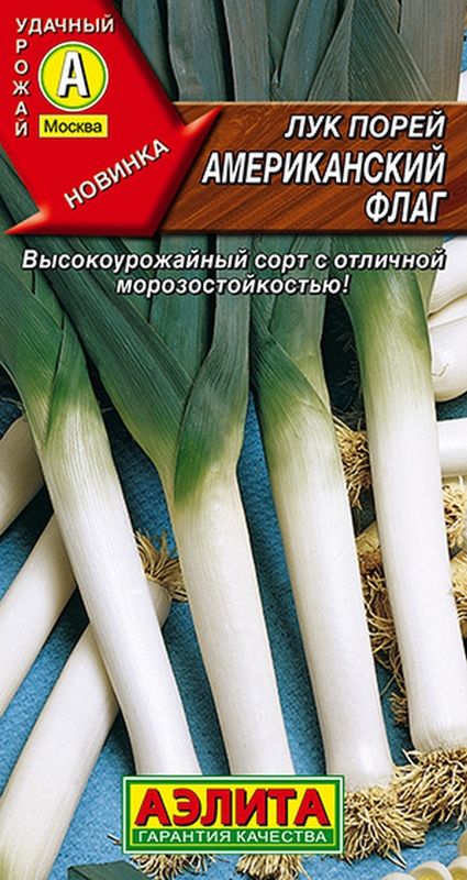 

лук порей американский флаг семена, лук порей американский флаг семена купить