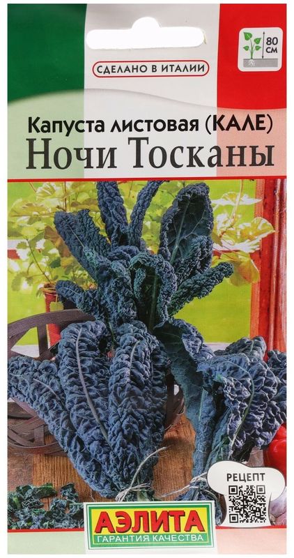 

капуста листовая (кале) ночи тосканы семена, капуста листовая (кале) ночи тосканы семена купить