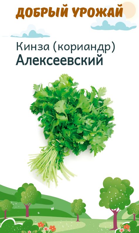 Кинза (кориандр) Алексеевский