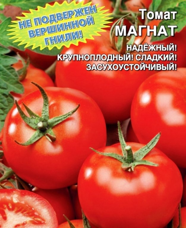 Выращивание томата Магнат