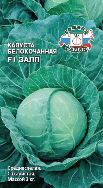 

капуста б/к f1 залп семена, капуста б/к f1 залп семена купить