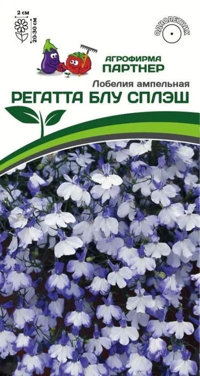 

лобелия ампельная регатта блу сплэш семена, лобелия ампельная регатта блу сплэш семена купить