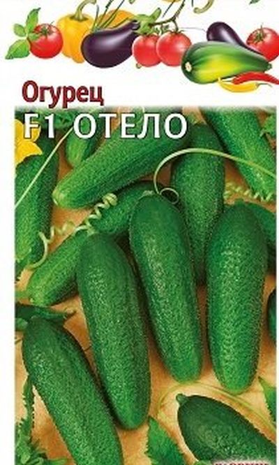 Огурец Клавдия Агро F1 - Продажа семян оптом и в розницу - ООО "Семена и Селекци