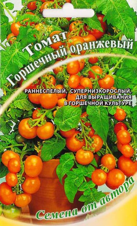 Томат Горшечный оранжевый - купить с доставкой