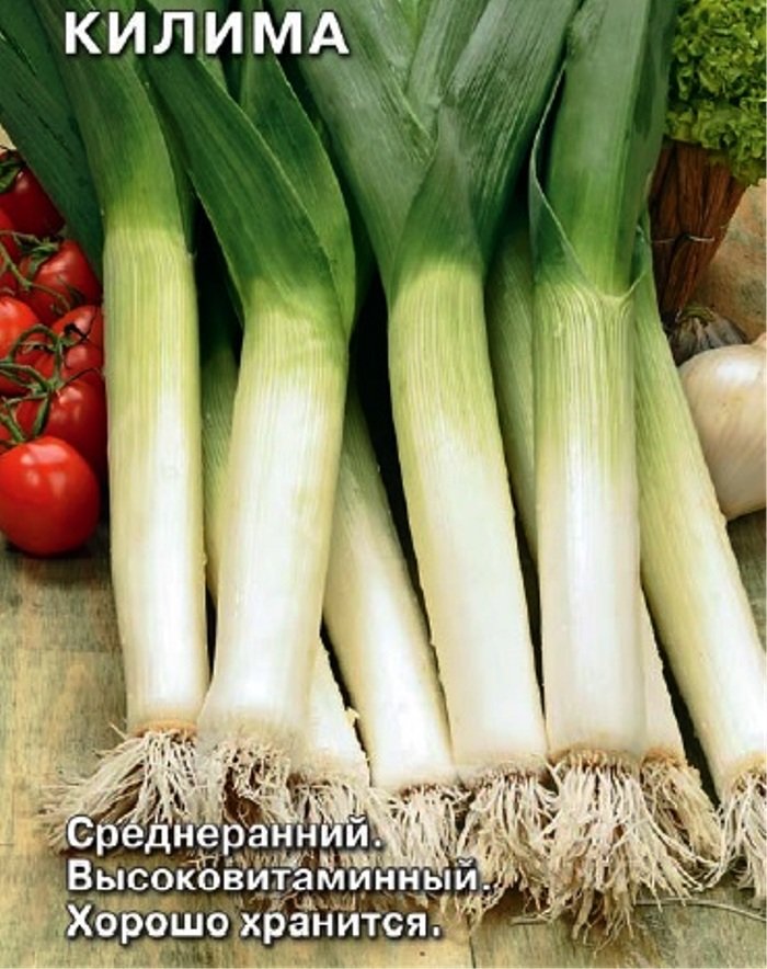 

лук порей килима семена, лук порей килима семена купить