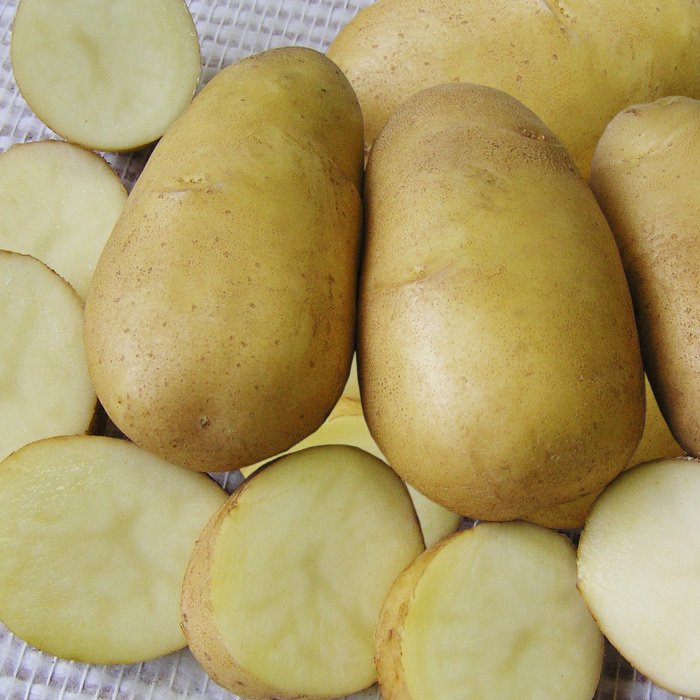 Картофель Поварской