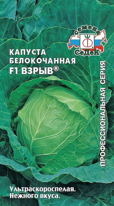 

капуста б/к f1 взрыв семена, капуста б/к f1 взрыв семена купить