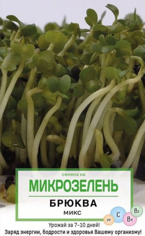 Семена на микрозелень Брюква, микс - купить с доставкой