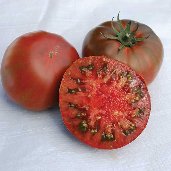 

томат кубанский смуглый семена, томат кубанский смуглый семена купить