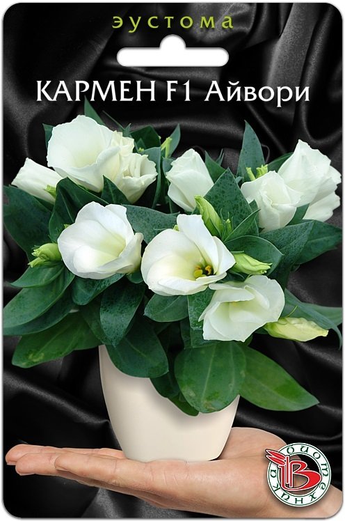 Эустома (лизиантус) горшечная Кармен F1 Айвори