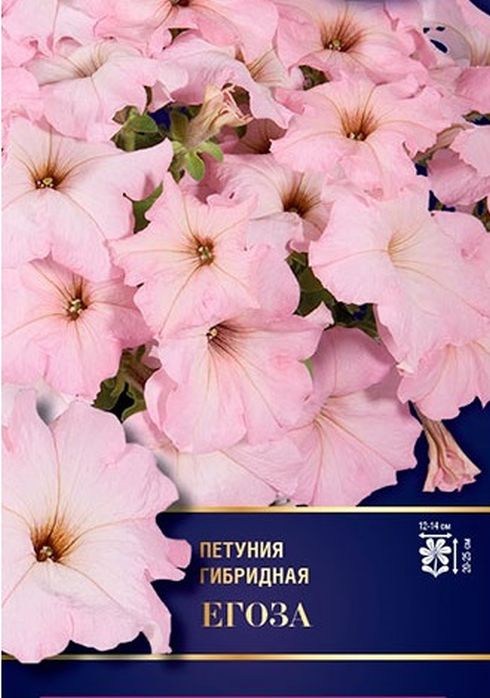 

петуния егоза f1 семена, петуния егоза f1 семена купить