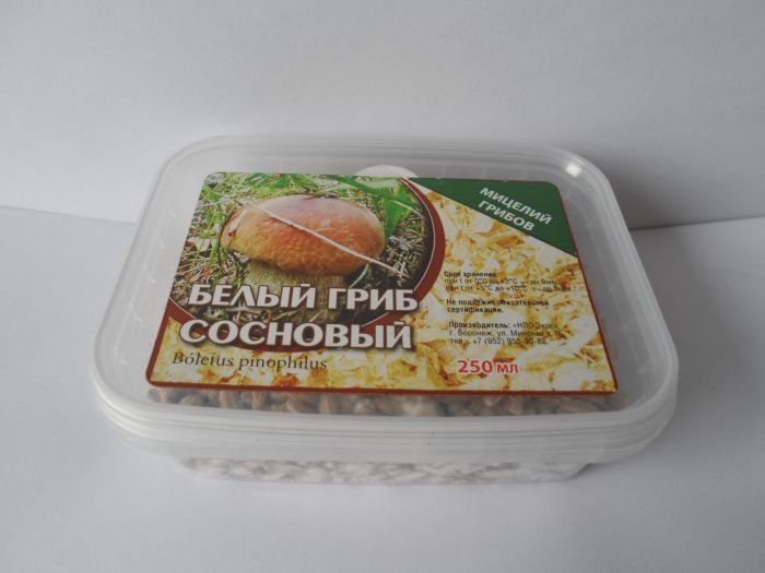 Белый гриб сосновый, 250 мл