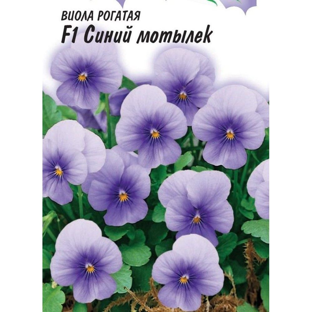 Семена Виолы Купить В Интернет Магазине