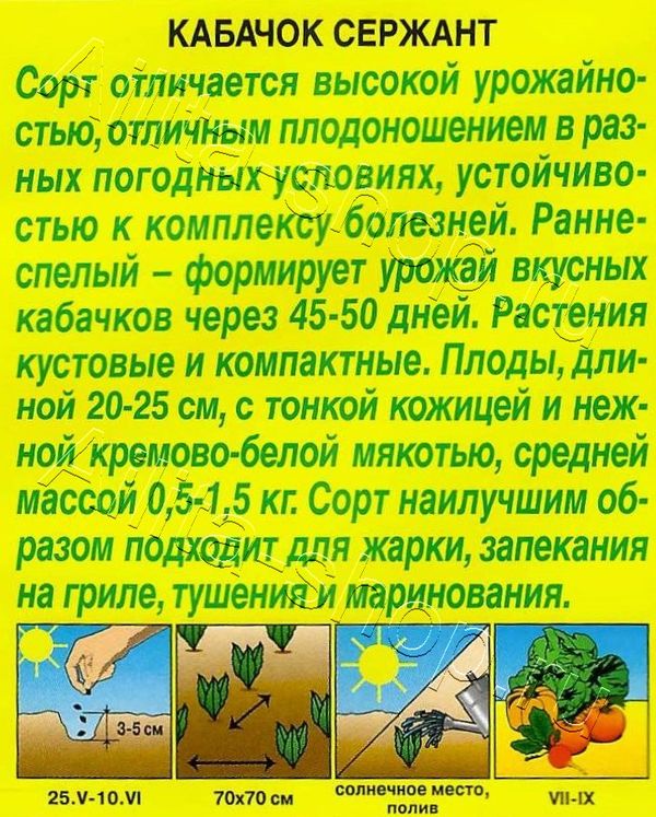 Кабачок цуккини Сержант