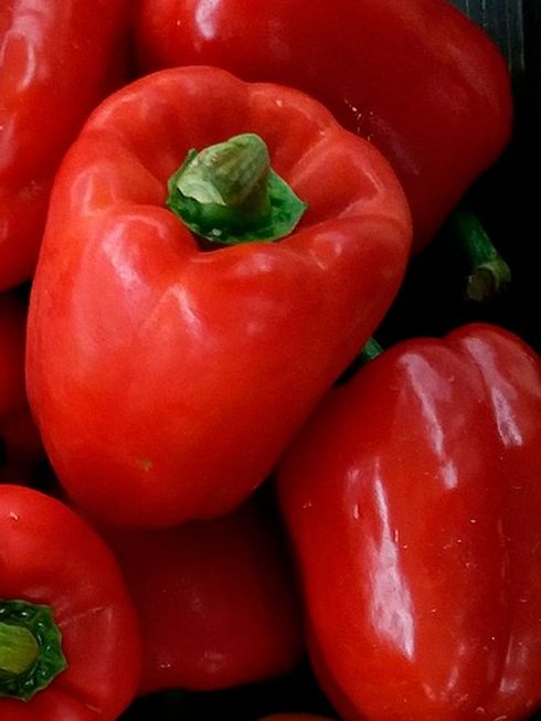 

перец сладкий оленька семена, перец сладкий оленька семена купить