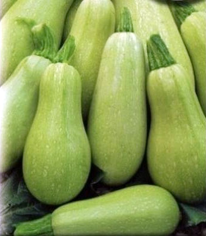 Кабачки