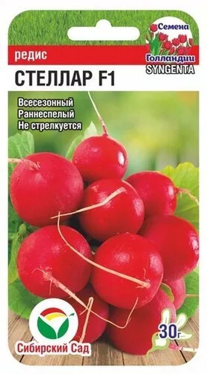 

редис стеллар f1 семена, редис стеллар f1 семена купить