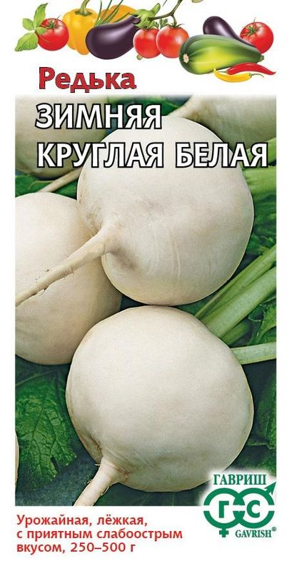 

редька зимняя круглая белая семена, редька зимняя круглая белая семена купить