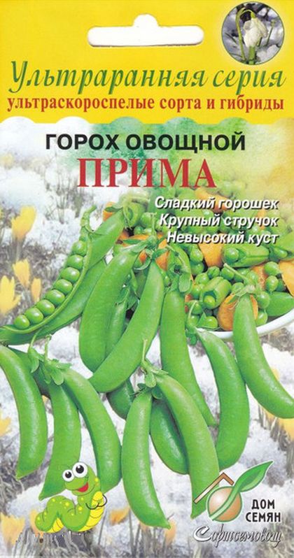 Горох Прима