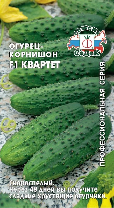 

огурец f1 квартет семена, огурец f1 квартет семена купить